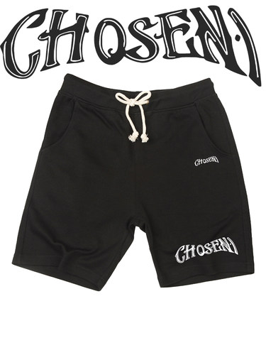 詹姆斯Chosen1五分裤宽松短裤