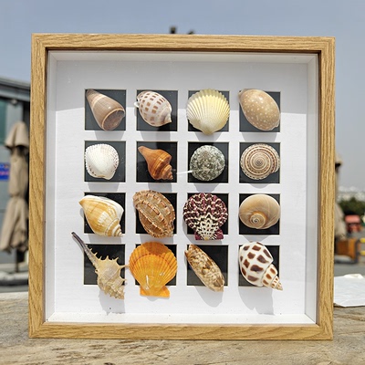小海螺贝壳手工装裱立体中空相框