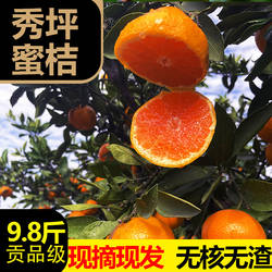 湖南石门柑橘蜜橘橘子桔子整箱新鲜孕妇水果当季薄皮无籽蜜桔