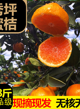湖南石门柑橘蜜橘橘子桔子整箱新鲜孕妇水果当季薄皮无籽蜜桔