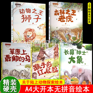 硬壳精装绘本 关于陆上动物探索绘本动物之王狮子森林之王老虎大象最帅的马长鼻子大象绘本绘本3-6岁幼儿绘本A4大开本不注音绘本