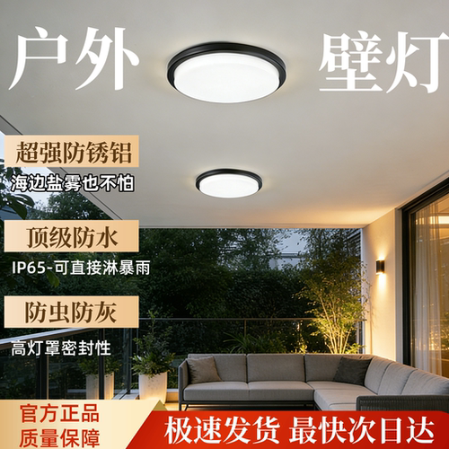 防水吸顶灯户外防蚊虫圆形大号