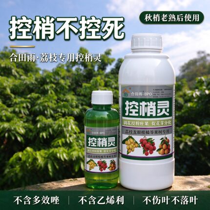 合田雨控梢灵荔枝控梢促花素荔枝树促花芽分化素控梢不控果促控剂