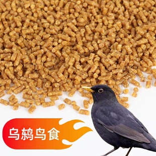 乌鸫鸟饲料百舌鸟食八哥饲料鹩哥营养粮乌鸫鸟食