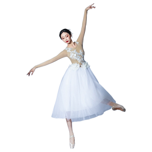 额尔古纳河舞蹈服白色古典舞纱衣飘逸芭蕾纱裙现代舞表演服演出服