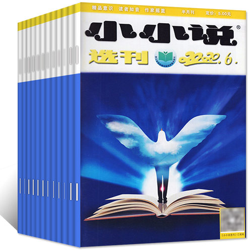 全年珍藏小小说选刊杂志