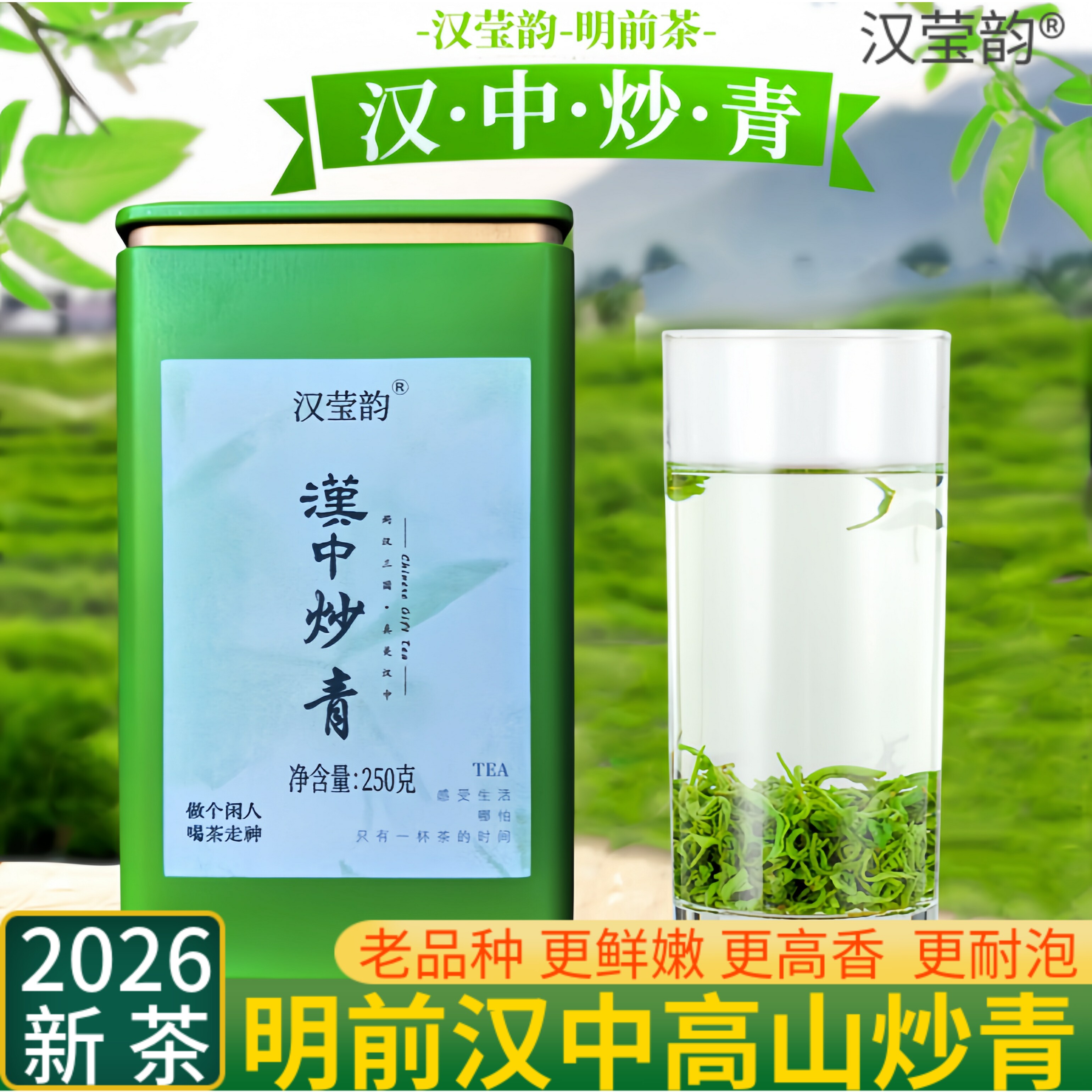 明前精选汉中炒青2026年新茶陕西绿茶高山特炒茶陕南青茶栗香鲜爽