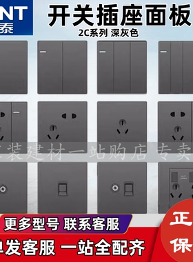 正泰开关插座面板2C灰色单开五孔双控多控暗装86型电脑三孔空调插