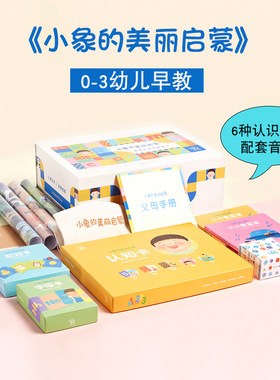 正版 小象汉字 0-3岁小象的美丽启蒙早教盒子套装 认知卡情景挂图童谣书配对卡字母卡 学习汉字图画 亲子活动教育 宝宝启蒙卡片