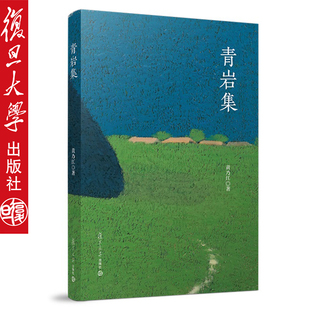 复旦大学出版 文学理论与批评文学 社9787309137521 黄乃江 青岩集