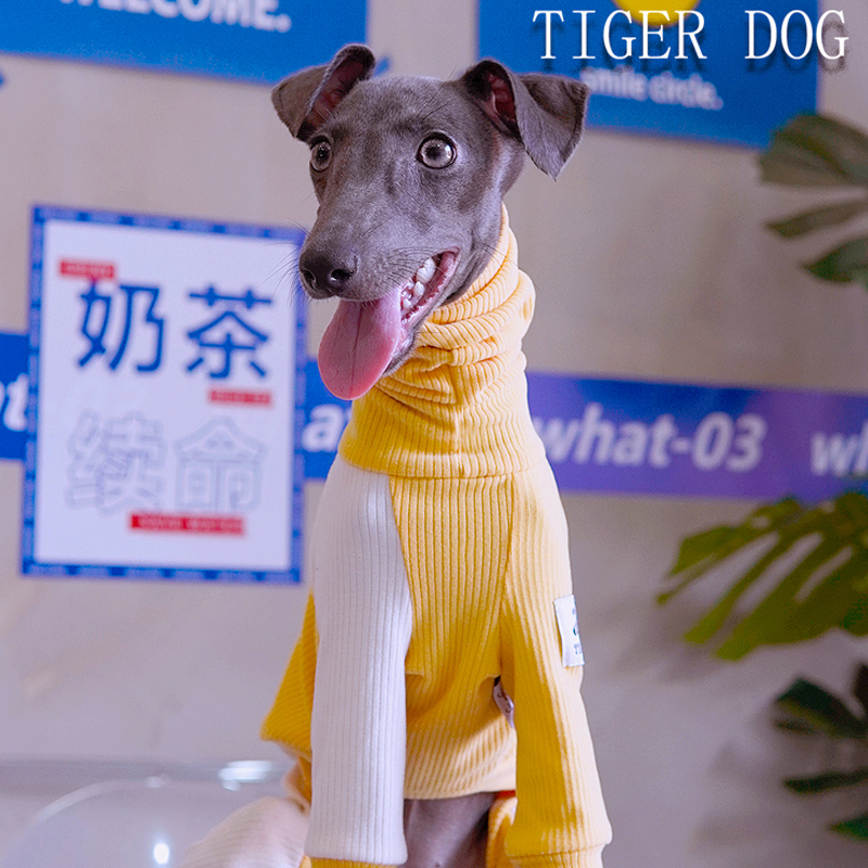 Tigerdog秋冬超弹高领意大利小灵缇惠比特贝灵顿梗犬四脚打底衣服