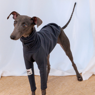 狗狗细狗小灵缇犬惠比特贝灵顿梗犬T恤打底保暖宠物衣服