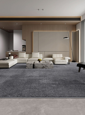纯色地毯客厅高级感轻奢简约深灰色高端加厚隔音卧室床边家用