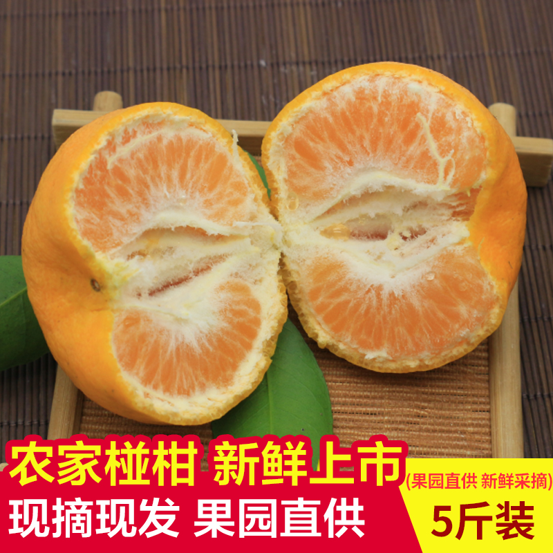 重庆椪柑陈家碰柑新鲜水果香甜可口孕妇自家种植现摘现发5斤包邮