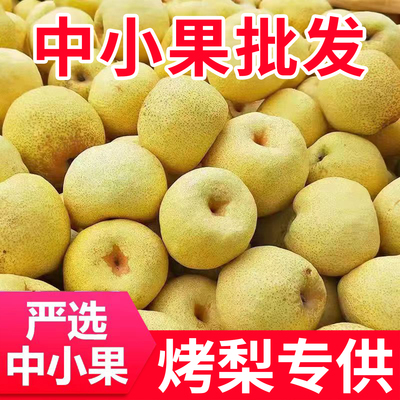 正宗砀山梨小梨子酥梨烤梨专用