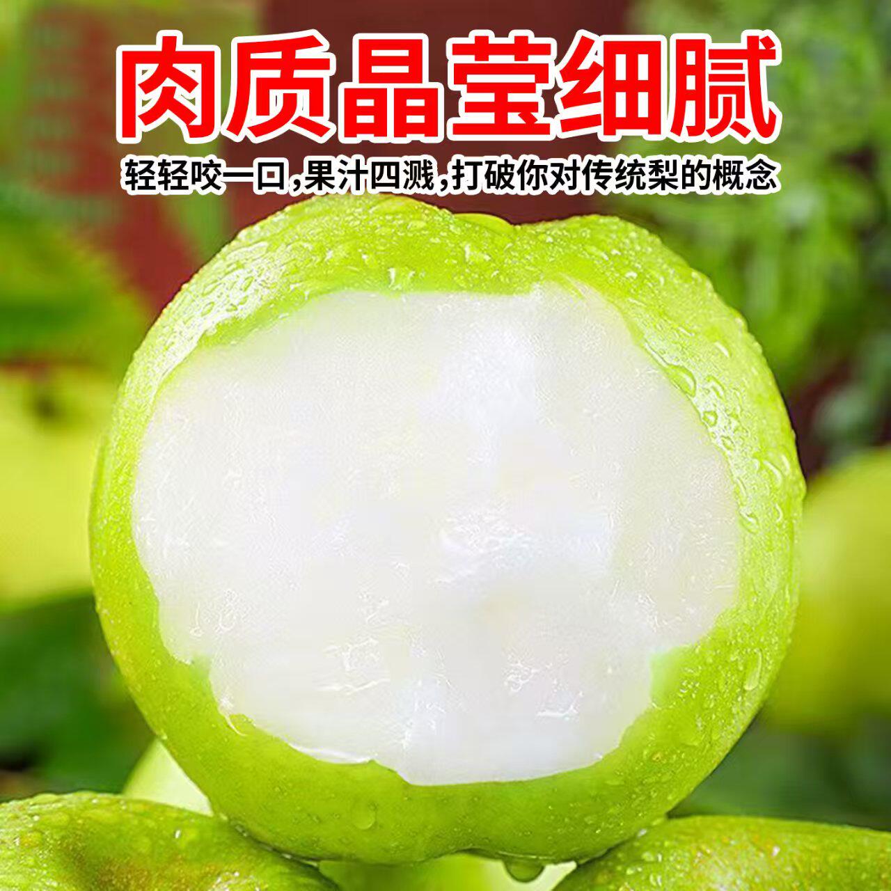 梨子新鲜现摘新梨正宗砀山青梨翠冠梨10斤包邮皮薄汁多青皮皇冠梨