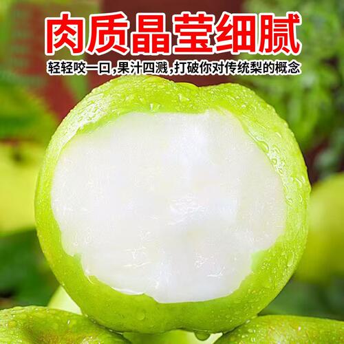 梨子新鲜现摘新梨正宗砀山青梨翠冠梨10斤包邮皮薄汁多青皮皇冠梨