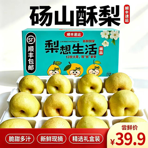 正宗砀山梨礼盒顺丰包邮现摘当季梨子酥梨10斤包邮中秋送礼水果