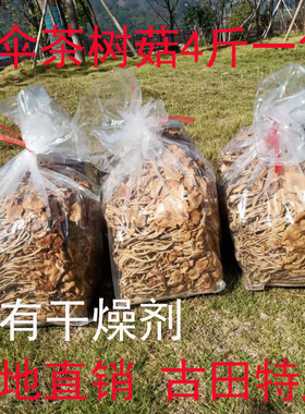 净重4斤福建特产古田茶树菇干货开伞茶薪菇新货无干燥剂产地直销