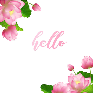 夏季上新橱窗装饰玻璃贴纸女装鞋包店铺布置静电无胶粉色荷花贴纸