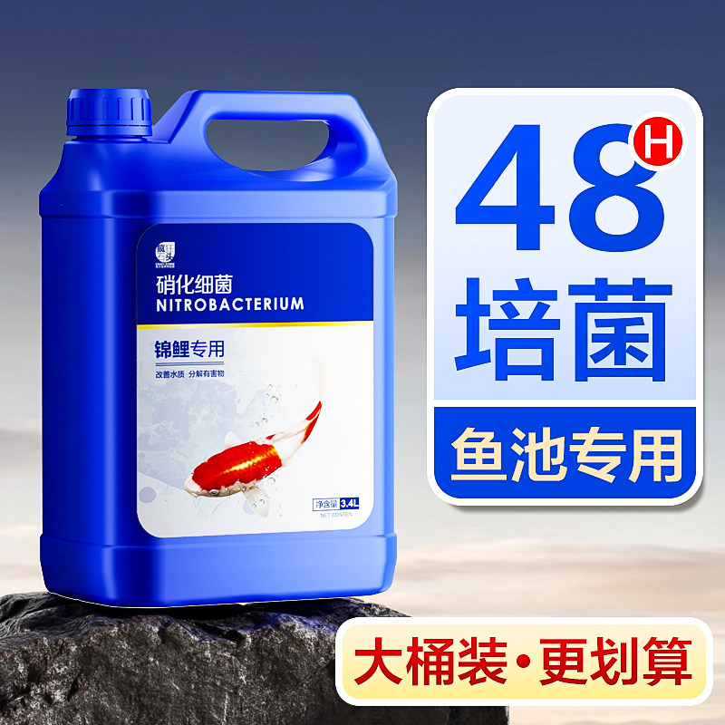 硝化细菌锦鲤鱼池用净化水质大桶消化活菌液分解粪便养鱼缸净水剂