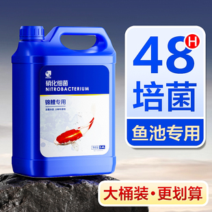 硝化细菌锦鲤鱼池用净化水质大桶消化活菌液分解粪便养鱼缸净水剂