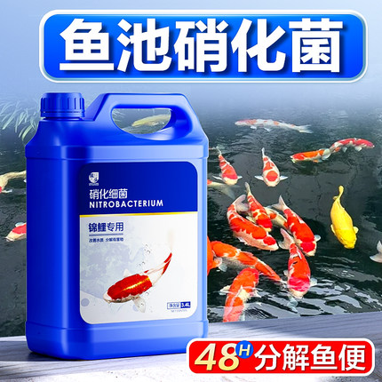 硝化细菌鱼池用净水剂分解鱼便养鱼消化活菌液锦鲤鱼缸水质稳定剂