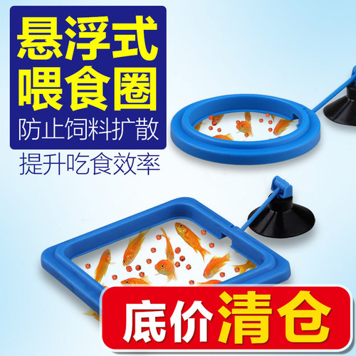 疯狂石头小型投喂喂食器