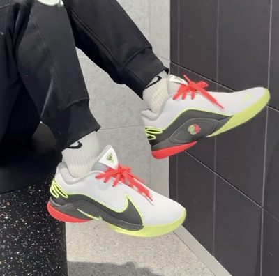 Nike LeBron22经典舒适百搭防滑耐磨篮球鞋男款白色FZ1095-101