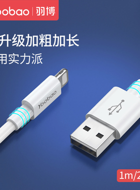 羽博适用苹果14p数据线iPhone12 13充电线x手机xr11max快充6闪充7plus8充电器头ipad平板短冲电单头pd2米加长