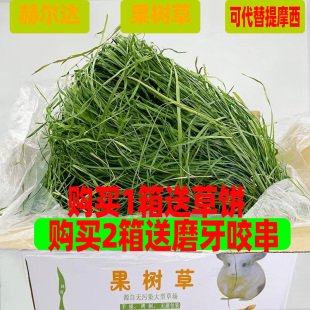 叶子果树草代替提摩西草兔子龙猫粮食荷兰猪饲料提摩西兔粮1000g