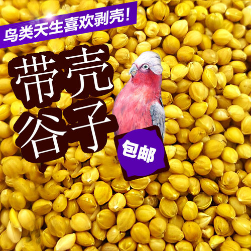 带壳小米大粒鸟食带壳小米鸟饲料