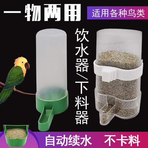 鹦鹉饮水器喂食器八哥幼鸟买送