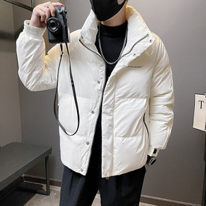 6669-P168 冬季休闲立领纯色学生潮流外套男羽绒服-5 控228图片