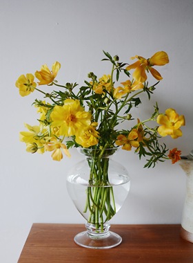 收集时光 Camus say古典高脚花瓶 水晶玻璃手工花瓶 毛茛虞美人