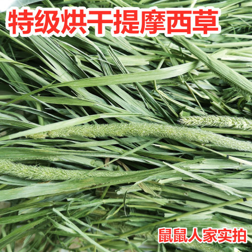 龙猫兔子豚鼠烘干提摩西草北提