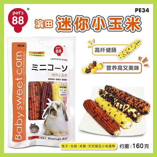 兔子仓鼠滨田迷你玉米
