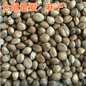 金皇冠仓鼠金丝熊谷物粮食麻籽麻子 100g仓鼠粮仓鼠零食-封面