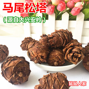 大兴安岭野生松树塔马尾松塔松子松鼠粮食零食坚果 250g