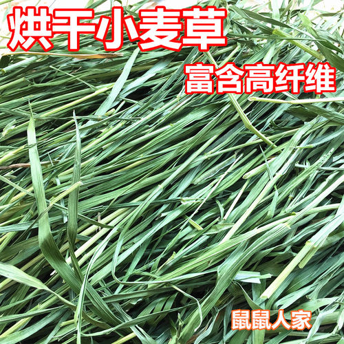 烘干兔子龙猫牧草干草小麦草