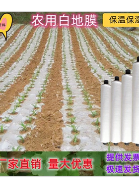 黑白色地膜农用种植保温保湿胶纸塑料薄膜大棚蔬菜果树园建筑护路