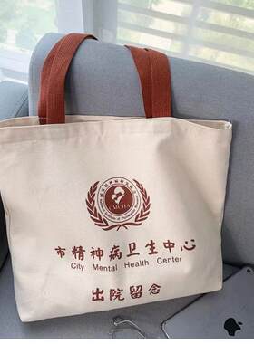 学生帆布包上课可装书小众设计感单肩包女大容量ins百搭通勤包包