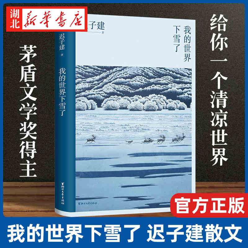 正版 现货速发 我的世界下雪了 温暖与百感交集的旅程 茅盾文学奖得主迟子建散文自选集 极地的生活世界的文学 迟子建怎么看?