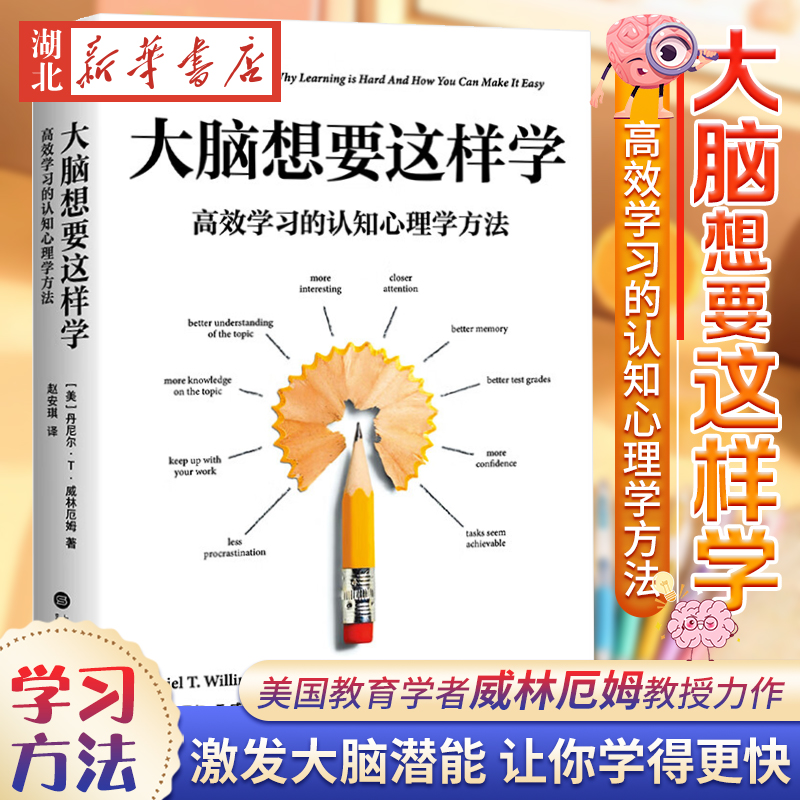 大脑想要这样学高效学习