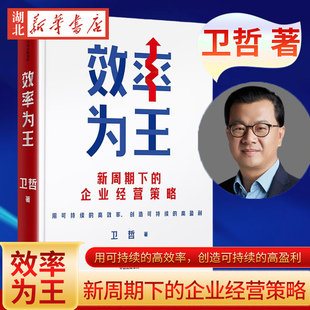 效率为王 阿里巴巴前CEO 嘉御基金创始人卫哲作品 新周期下的企业经营策略 现金为王 利润为王 存量时代 企业管理 企业经营 正版