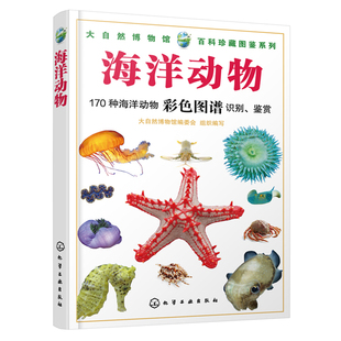 海洋动物 海洋生物百科全书 青少年中小学生科普类书籍 小学生课外书 海洋生物科普图书 大自然博物馆·百科珍藏图鉴系列 正版