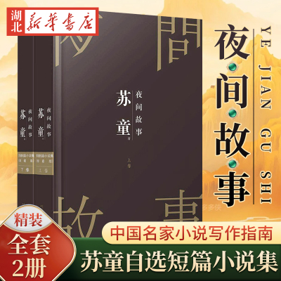 全套2册夜间故事苏童短篇小说