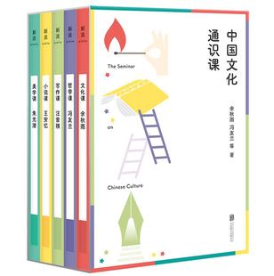 中国文化通识课 小说课