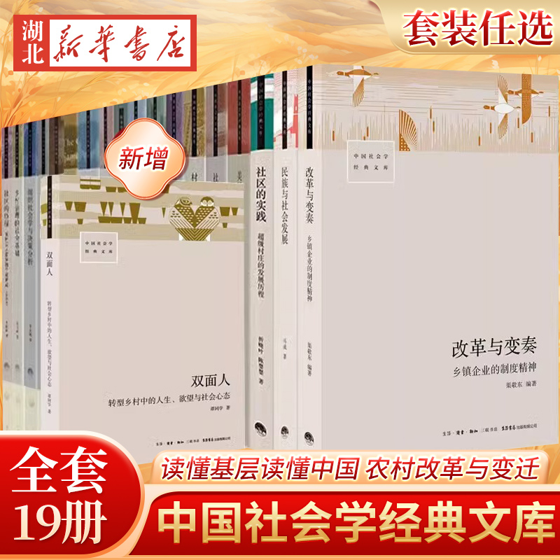 小镇喧嚣一个乡镇政治运作