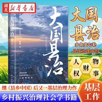 大国县治 杨华 继《县乡中国》后又一基层治理力作 基层问题 县乡治理逻辑 乡村振兴治理社会学书籍 东方出版社 正版